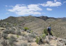 Researchers uncover new clues to surviving extinction Scientists are peeking into ancient oceans to unravel the complexities of mass extinctions, past and future.
