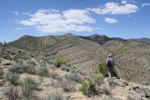 Scientists are peeking into ancient oceans to unravel the complexities of mass extinctions, past and future. 