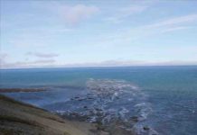 The largest delta plain in Earth’s history From the field on Svalbard, showing an ancient channel extending into the Barents Sea.