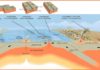 What are the different types of plate tectonic boundaries? plate boundaries