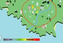 Crowdsourcing speeds up earthquake monitoring earthquake monitoring