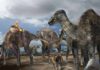 First-confirmed occurrence of a lambeosaurine dinosaur found on Alaska’s North Slope lambeosaurine (crested 'duck-billed' dinosaur)