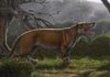 Fossils found in museum drawer in Kenya belong to gigantic carnivore Simbakubwa kutokaafrika