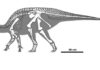 Gobihadros, a new species of Mongolian hadrosaur Gobihadros mongoliensis