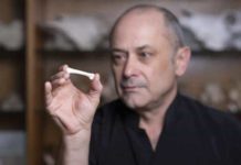 New species of early human found in the Philippines The bone is from a new species of hominin.