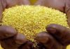 Mining : What Is Gold Mining? How Is Gold Mined? Gold