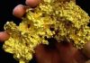 Gold Nuggets : What Is Gold Nugget? How Do Gold Nuggets Form? Gold nugget