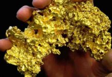 Gold Nuggets : What Is Gold Nugget? How Do Gold Nuggets Form? Gold nugget