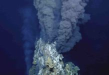 Scientists discover a hidden deep sea hotspot bursting with life hydrothermal vent