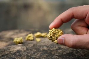 What You Should Know About Gold Prospecting in Australia