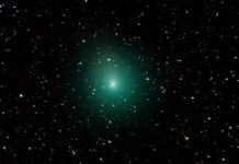 A family of comets reopens the debate about the origin of Earth’s water The comet 46P/Wirtanen on January 3, 2019.