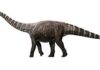 A high-heeled dinosaur? An artist’s impression of Rhoetosaurus brownei, (c) Queensland Museum 2014. Credit: Konstantinov, Atuchin & Hocknull.