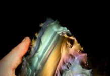 The World’s Rarest and Most Expensive Types of Obsidian Spectacular rainbow obsidian blade