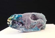 Crystallized Skull : All Fakes? Crystallized coyote skull