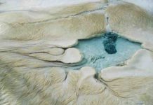 ‘Fettuccine’ may be most obvious sign of life on Mars, researchers report New research focuses on filamentous microbes that make their living in hot springs and catalyze the formation of travertine rock.