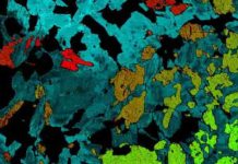 How Earth’s mantle is like a Jackson Pollock painting A mineral map of a cumulate mineral sample.