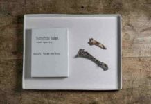 Museum volunteers discover new species of extinct heron at North Florida fossil site The new heron species was described from two interlocking shoulder bones from the same individual: the scapula, top, and coracoid, a bone that is often useful for identifying bird species.
