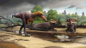 tyrannosauroid Suskityrannus hazelae 