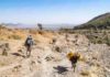 Rare volcanic rocks lift lid on dangers of little-studied eruptions Researchers doing fieldwork at Aluto in East Africa.