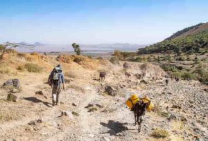 Researchers doing fieldwork at Aluto in East Africa. 