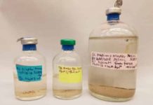 Recreating ancient minerals Fine grains of dolomite form on anaerobic microbial mats under various environmental conditions.