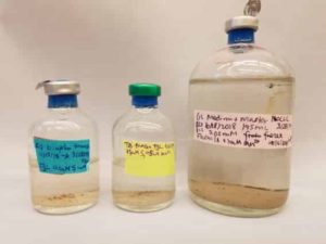 Fine grains of dolomite form on anaerobic microbial mats under various environmental conditions.