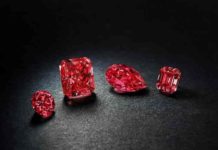 Red Diamond : What is Red Diamond? Where Can Red Diamond be Found? Red diamond