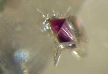 Study identifies lherzolite as a source rock for diamond deposits A tiny inclusion of lherzolitic garnet inside a diamond collected from the De Beers Group Victor Mine in Ontario. New research revealed lherzolite is a source rock for diamond formation—a discovery that could eventually help geologists find valuable deposits around the world.