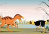 Thai dinosaur is a cousin of T. rex Phuwiangvenator and Vayuraptor were fast and dangerous predators. Although only half as long as its relative, the T. rex, Phuwiangvenator almost reached the size of an Asian elephant.