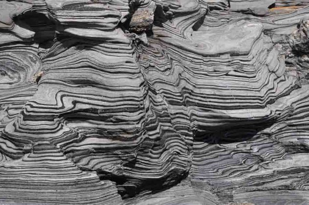 Zebra Schist