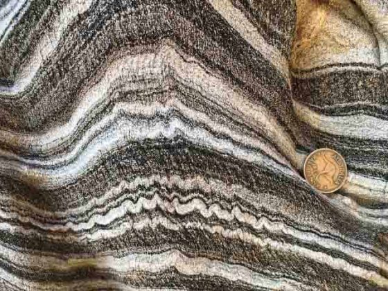 Zebra Schist