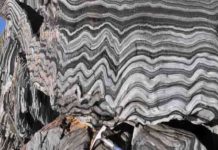 Zebra Schist : What is Zebra Schist? Where is it found? Zebra Schist