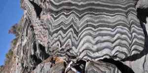 Zebra Schist