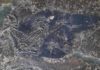 Blue color tones in fossilized prehistoric feathers Eocoracias brachyptera fossil sample used for this study.