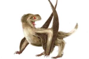 Reconstruction of the studied pterosaur