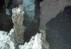 How deep-ocean vents fuel massive phytoplankton blooms hydrothermal vent