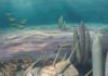 New ‘king’ of fossils discovered on Kangaroo Island An artists impression of a Redlichia trilobite on the Cambrian seafloor.