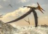 New Australian pterosaur may have survived the longest Pterosaur