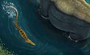 Artist’s reconstruction of Isisfordia molnari.