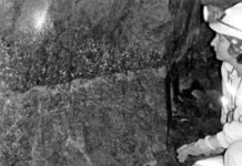 The secret of platinum deposits revealed by novel field observations in the Bushveld Complex Dr Sofya Chistyakova