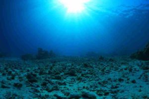 When carbon emissions pass a critical threshold, it can trigger a spike-like reflex in the carbon cycle, in the form of severe ocean acidification that lasts for 10,000 years, according to a new MIT study.
