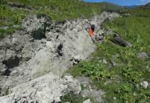 Curved slickenlines preserve the direction of rupture propagation A fresh surface rupture of the Kekerengu fault, taken 4 days after the Kaikoura earthquake, with lead author Jesse Kearse leaning next to a curved slickenline (the subject of this article). Photo credit - Professor Tim Little (Victoria University of Wellington).