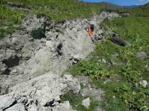 Here is an image of a fresh fault scarp, taken 4 days after the Kaikoura earthquake, with myself leaning next to a curved slickenline (the subject of this article). This image has not been published before, but you would be welcome to use it.