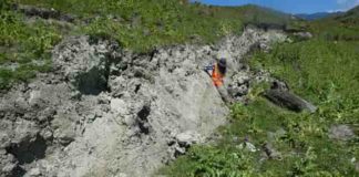 A fresh surface rupture of the Kekerengu fault, taken 4 days after the Kaikoura earthquake, with lead author Jesse Kearse leaning next to a curved slickenline (the subject of this article). Photo credit - Professor Tim Little (Victoria University of Wellington).