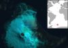 Discovery of rare lava lake on remote sub-Antarctic island False colour Landsat 8 satellite image of Saunders Island and the lava lake within the crater of Mount Michael (image acquired 31/01/2018). Inset map shows the location of Saunders Island.