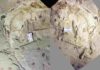 Jurassic fossil shows how early mammals could swallow like their modern descendants The fossil of Microdocodon gracilis is preserved in two rock slabs, found in a site near the Wuhua village in the Daohugou area of Inner Mongolia, China. Credit: Zhe-Xi Luo