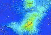 New clues to the origin of massive underwater volcano, Tamu Massif Tamu Massif made news in 2013, thought to be the world's largest volcano. New research offers a better look at the volcano's formation and throws doubt on that claim.