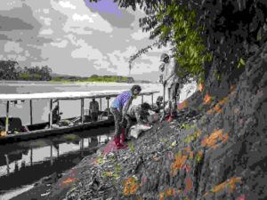 These fossil-rich sediments along the Alto Madre de Dios River in southern Peru have yielded hundreds of fossil teeth and bones, clues to what life in the Amazon was like 18 million years ago.