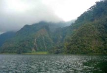 Detecting hydrothermal vents in volcanic lakes Steep crater wall of Ngozi volcano in the Poroto Ridge Forest Reserve, Tanzania. Credit: Egbert Jolie/GFZ
