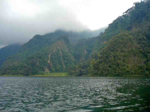 Steep crater wall of Ngozi volcano in the Poroto Ridge Forest Reserve, Tanzania. Credit: Egbert Jolie/GFZ